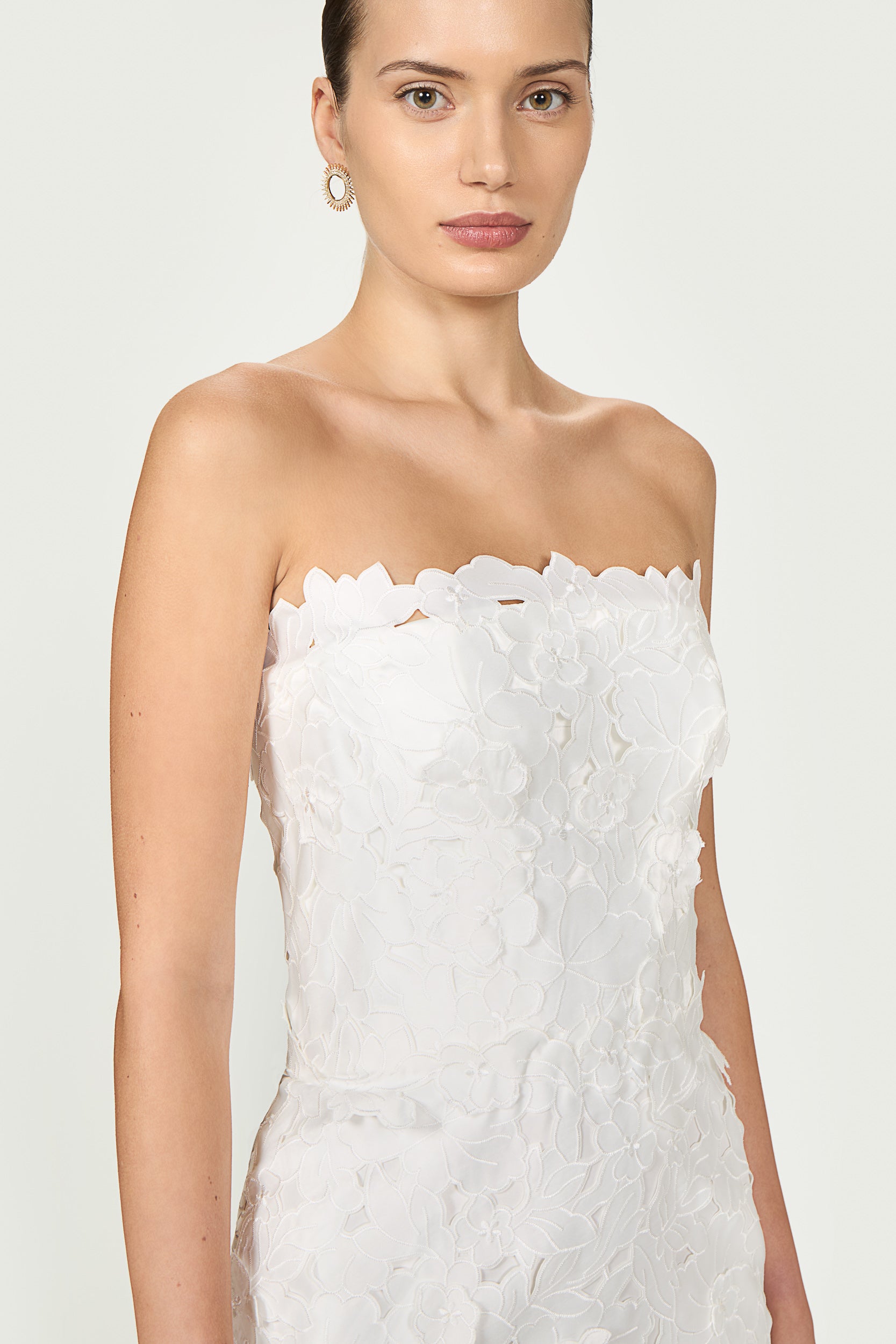 Astelle Floral-Cut Lace Strapless Dress