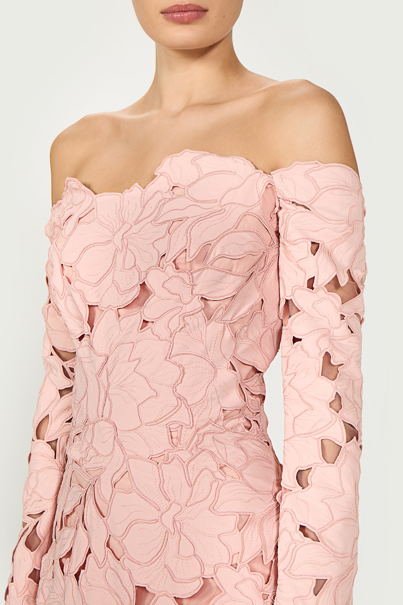 Kasia Floral-Cut Lace Gown