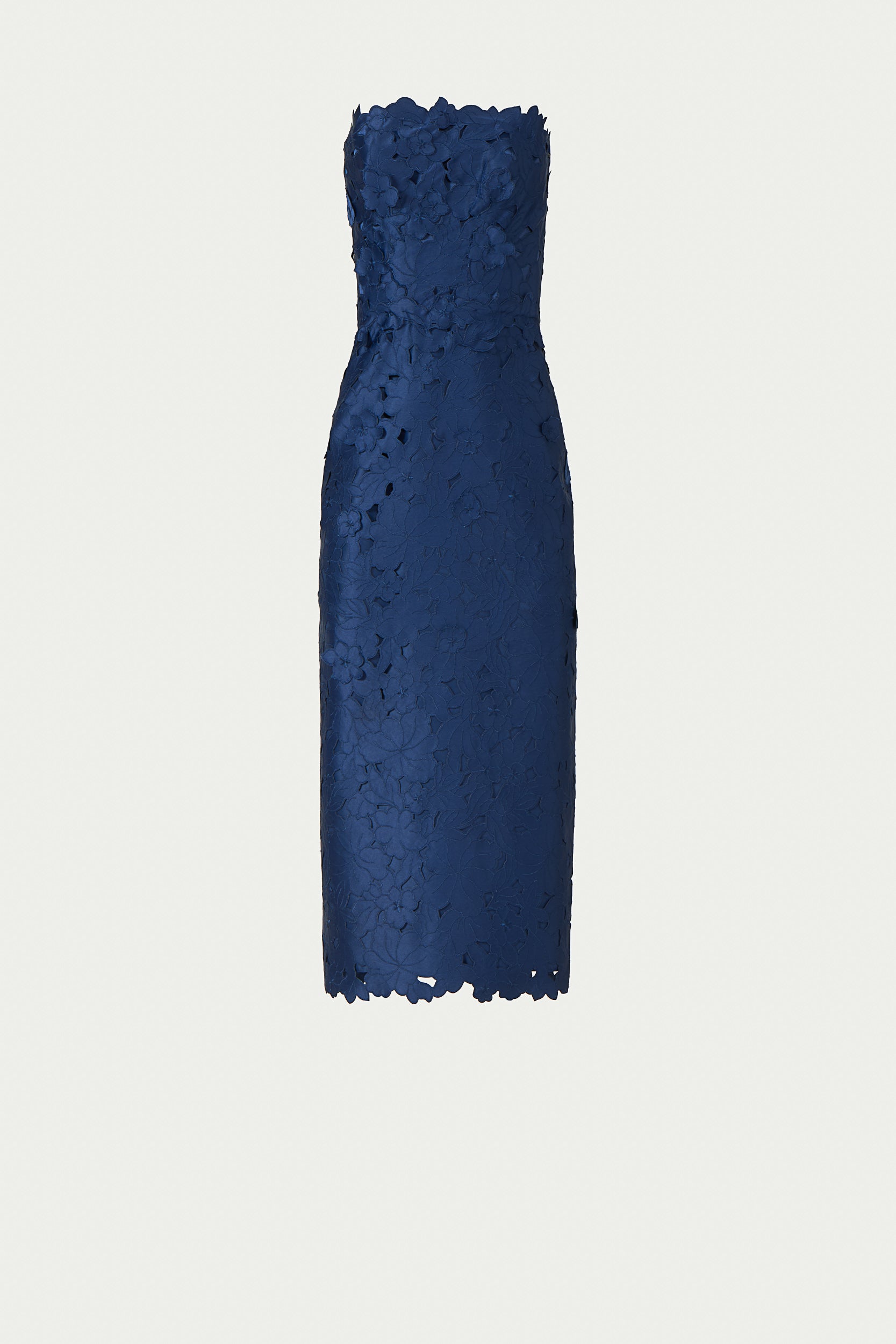 Astelle Floral-Cut Lace Strapless Dress