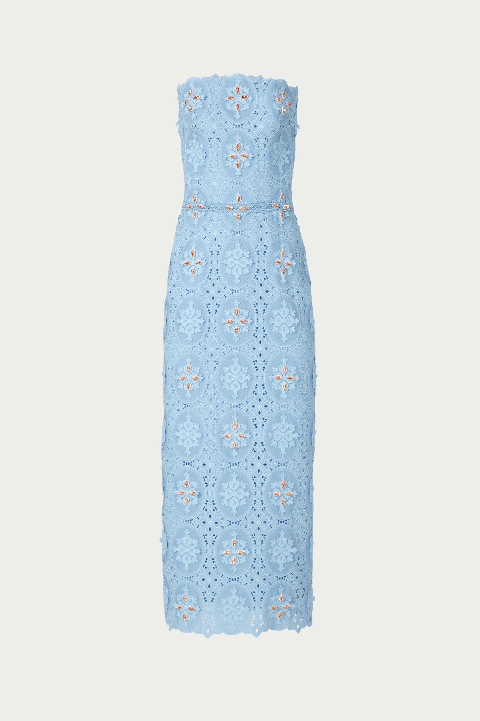 Renelle Embroidered Lace Dress