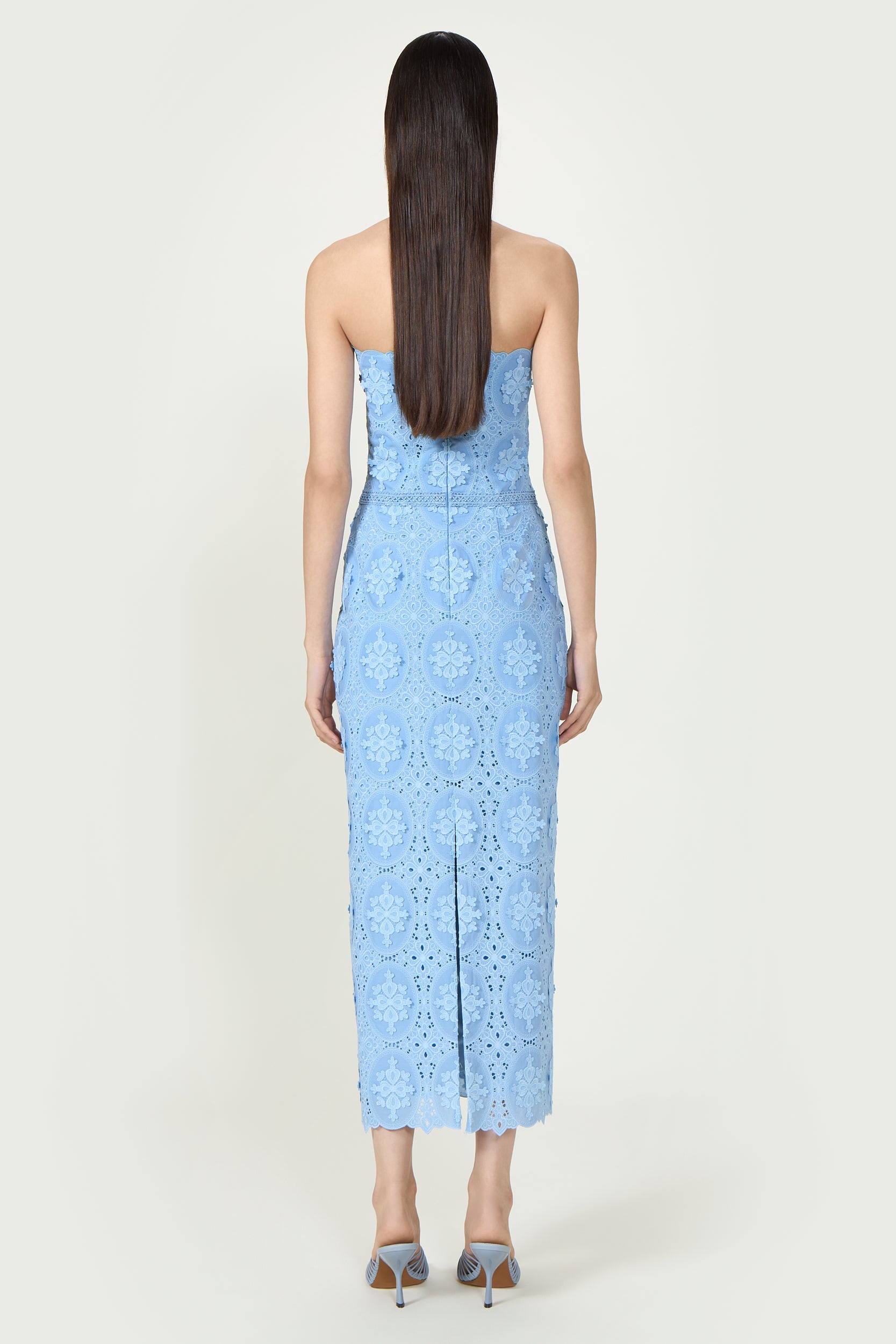 Renelle Embroidered Lace Dress