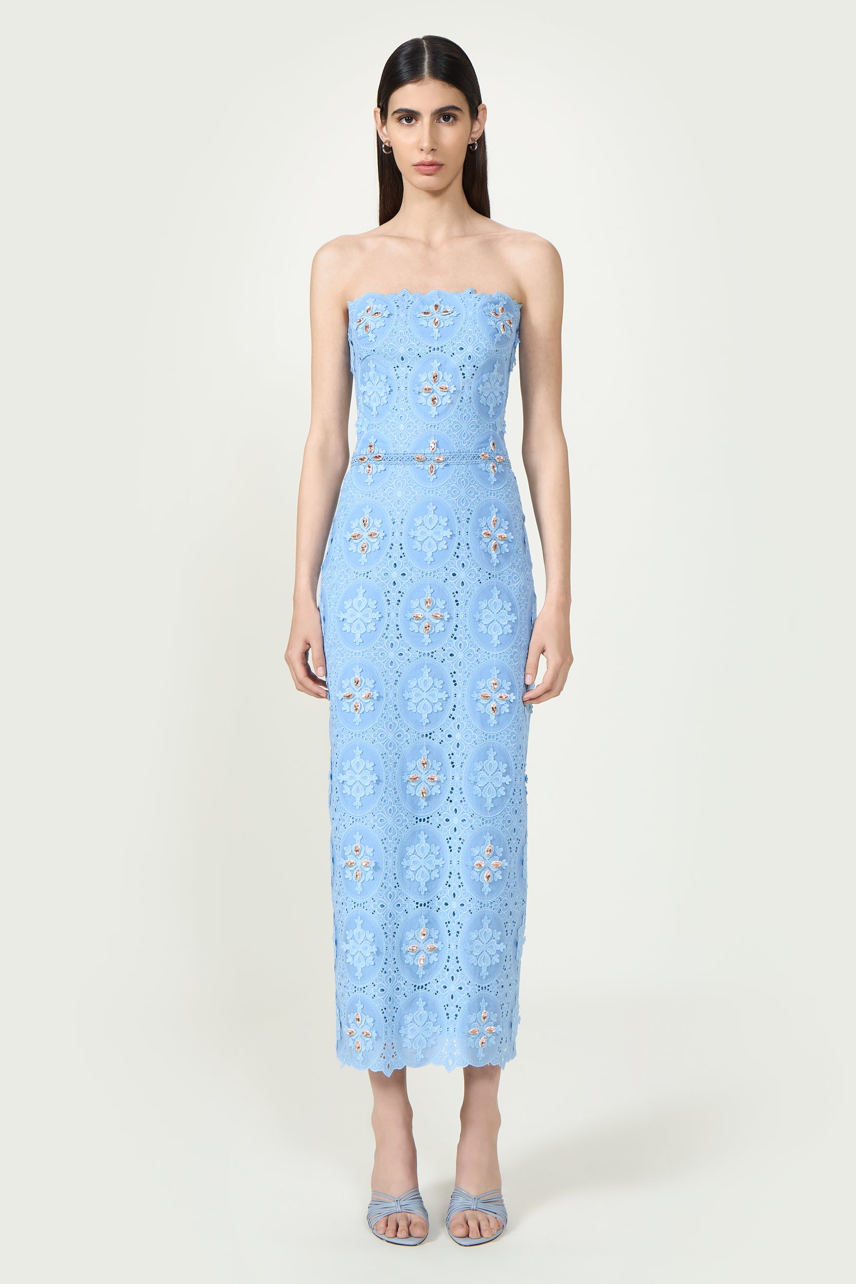 Renelle Embroidered Lace Dress