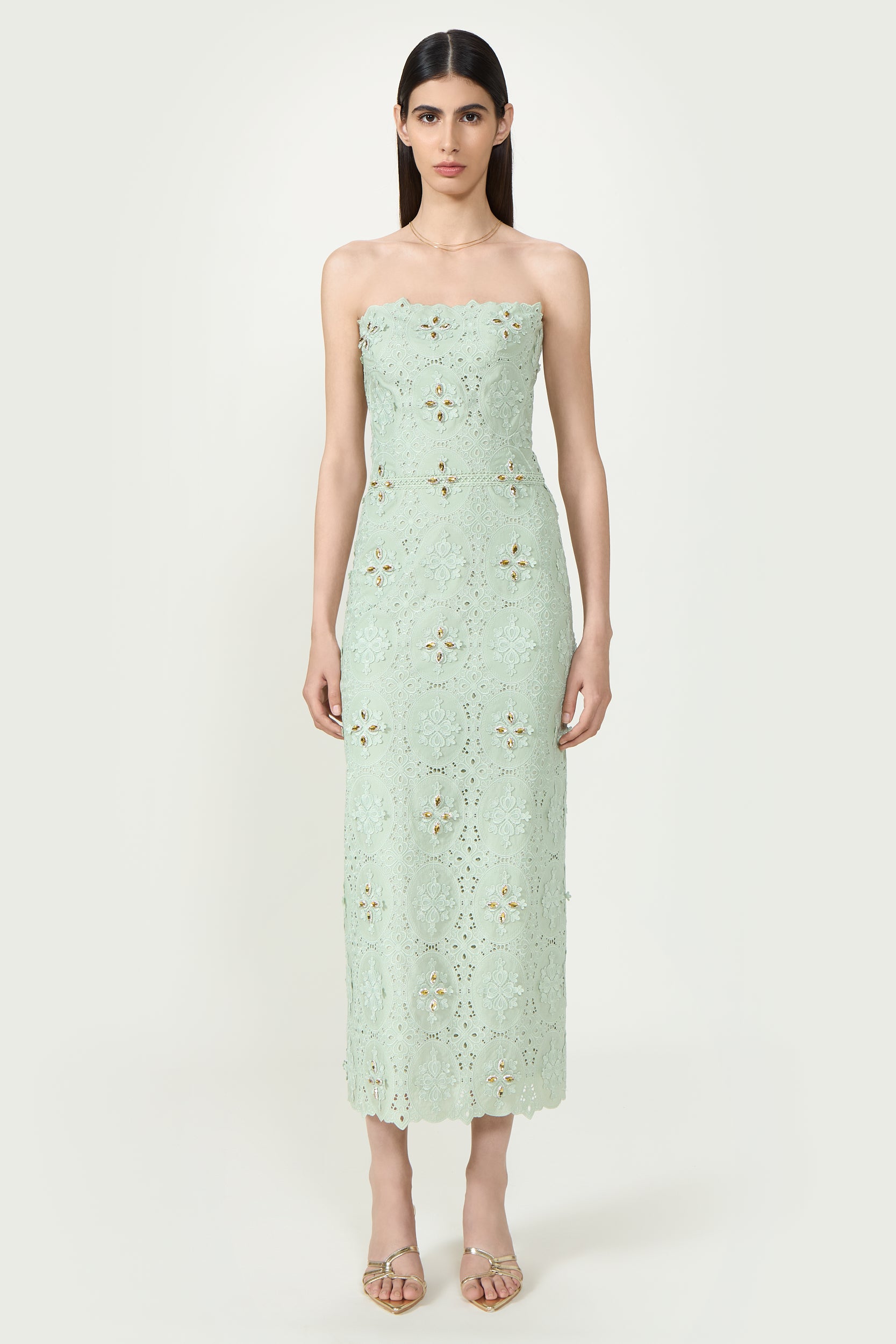 Renelle Embroidered Lace Dress