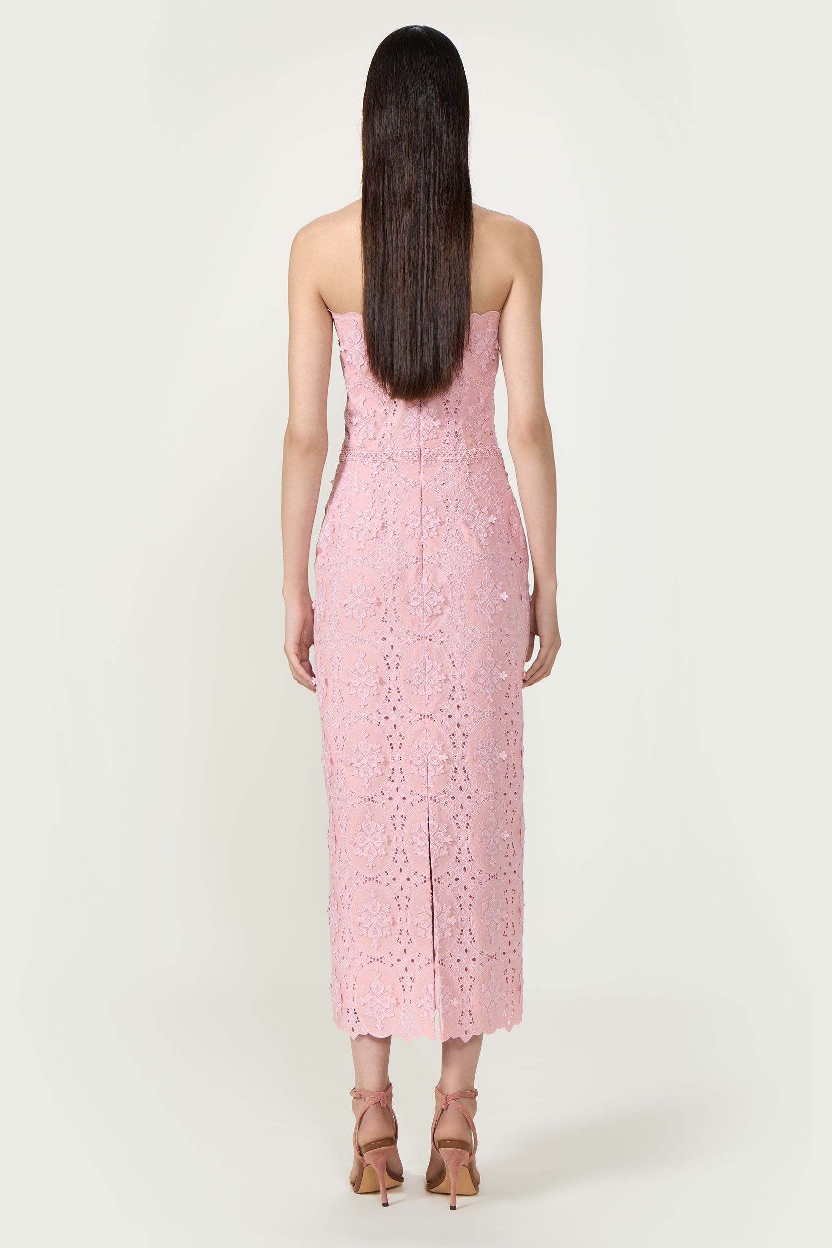 Renelle Embroidered Lace Dress