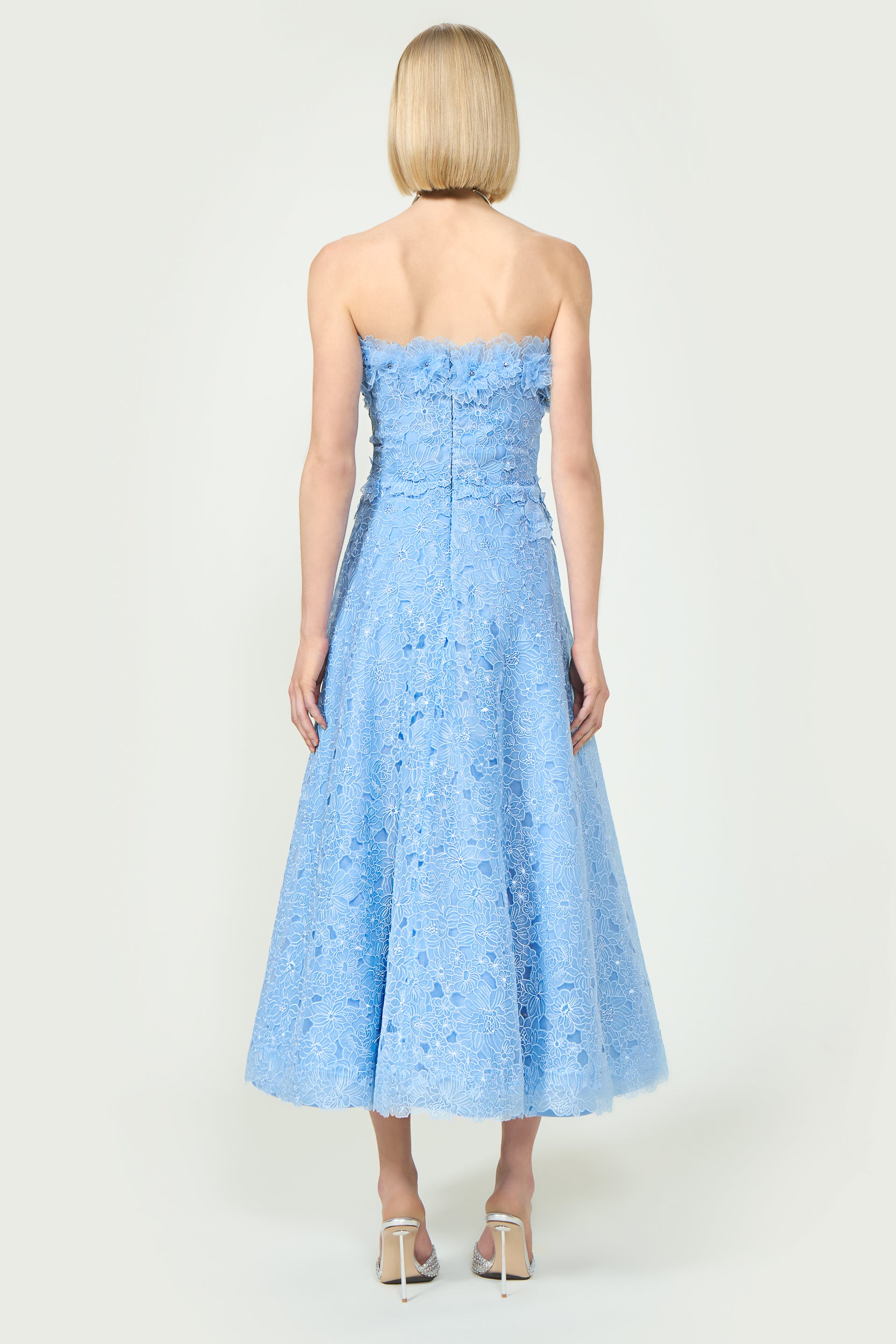 Anessa Embroidered Organza Stapless Midi Dress