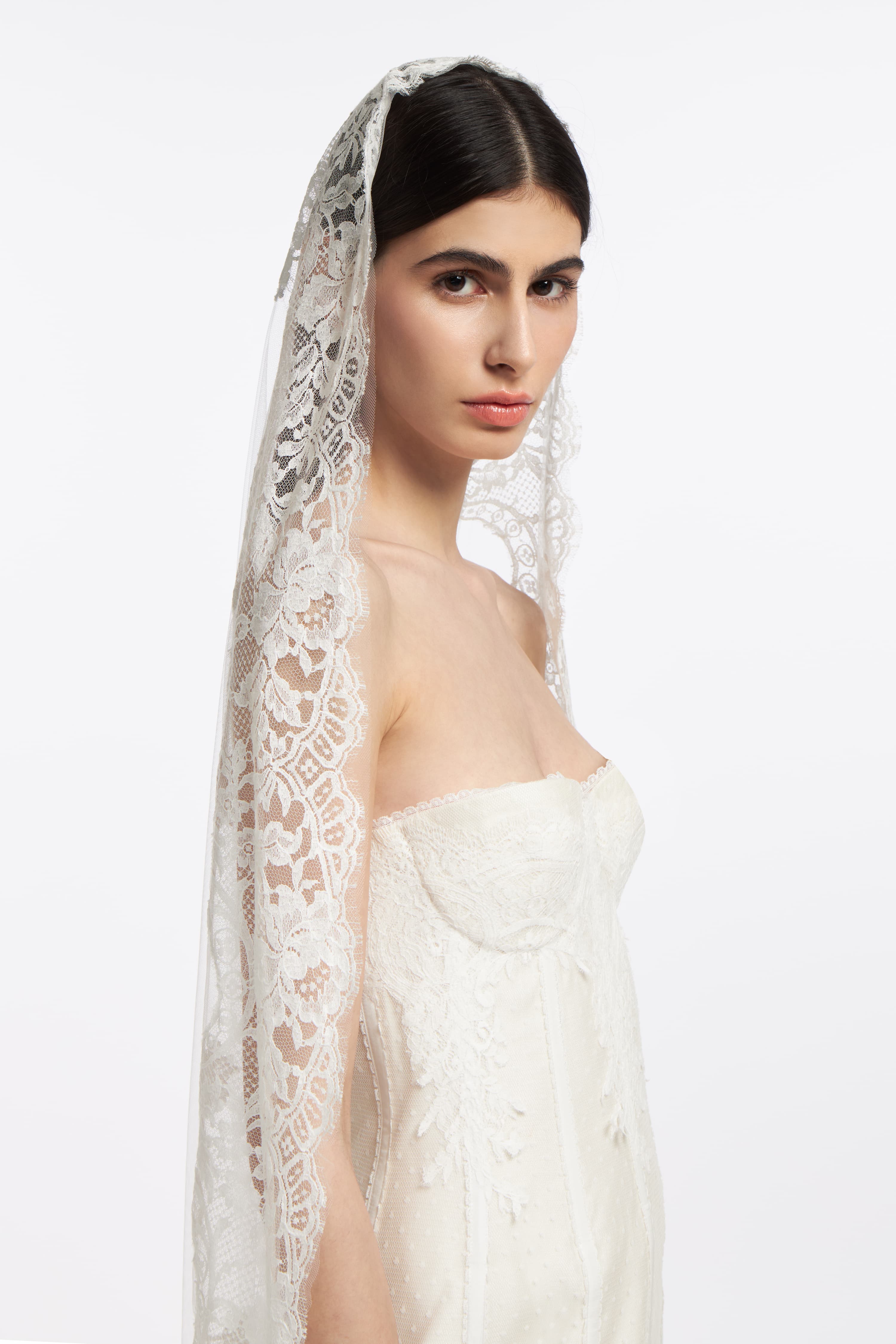 Elegant French lace veil with intricate floral patterns, draping over a bride in a strapless white gown. Perfect bridal accessory for a timeless look.