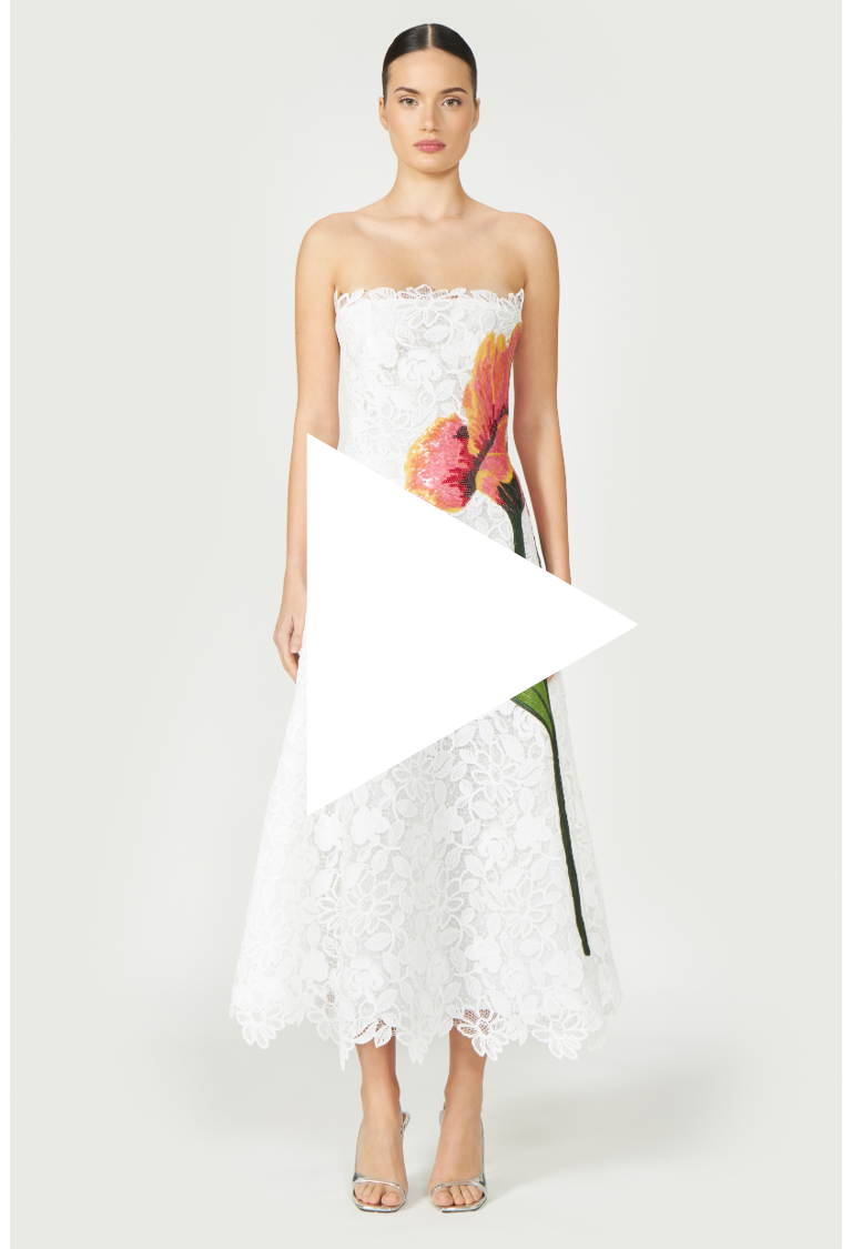 Video preview of Mariela Corded Lace Gown, showcasing its intricate lace design, floral embroidery, and graceful silhouette. A stunning pick for Resort 2025 fashion.