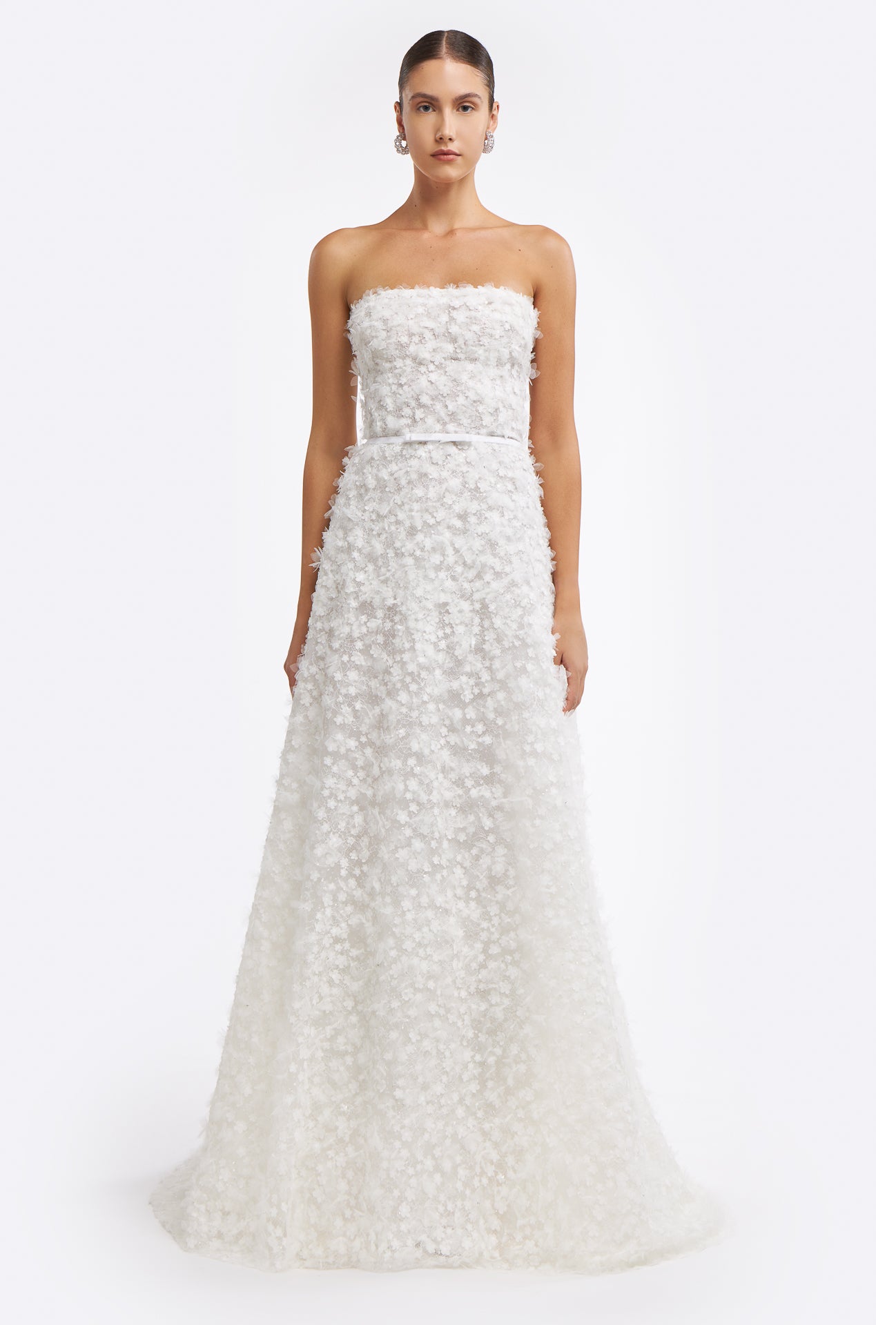 Fereniki Embroidered Lace Gown featuring a strapless bodice and floral appliqué details. A-line silhouette with a delicate belt accentuating the waist.