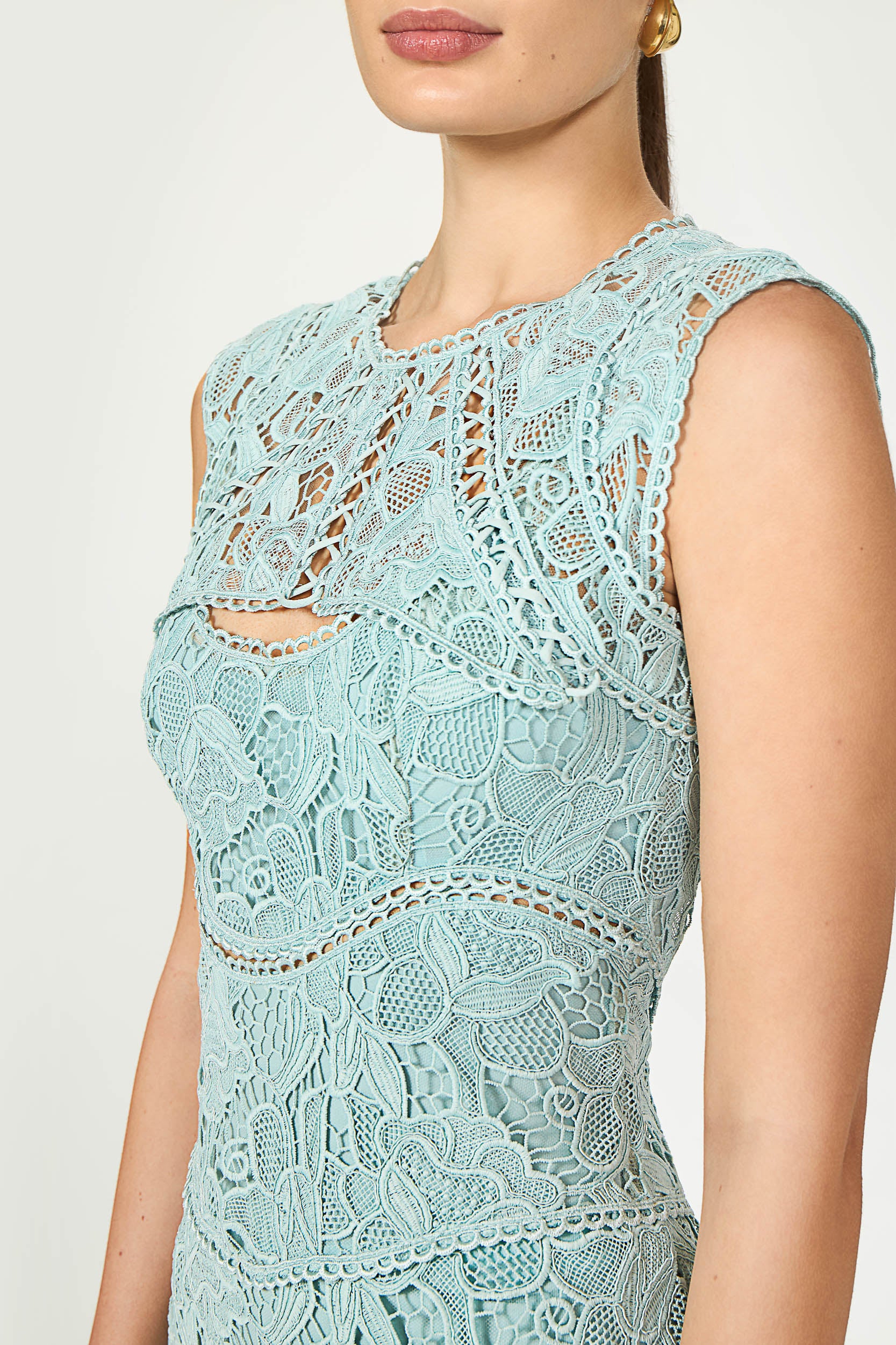 Janica Guipure Lace Gown