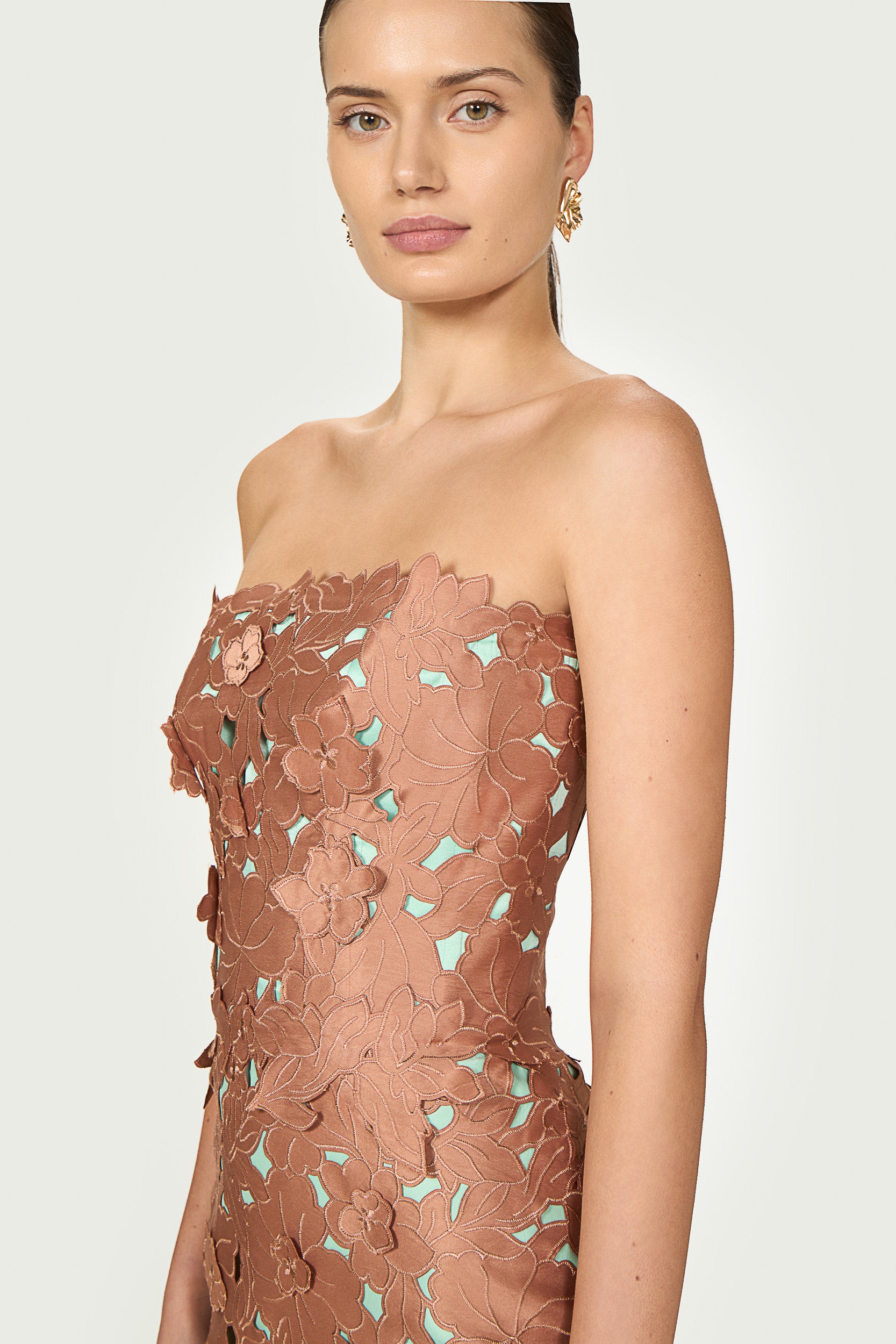 Zira Floral-Cut Lace Strapless Dress