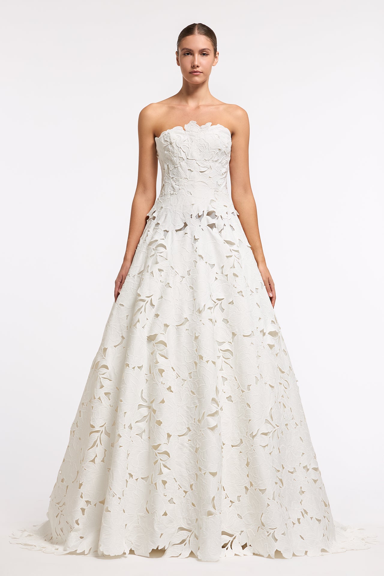 Herina Floral-Cut Strapless Gown