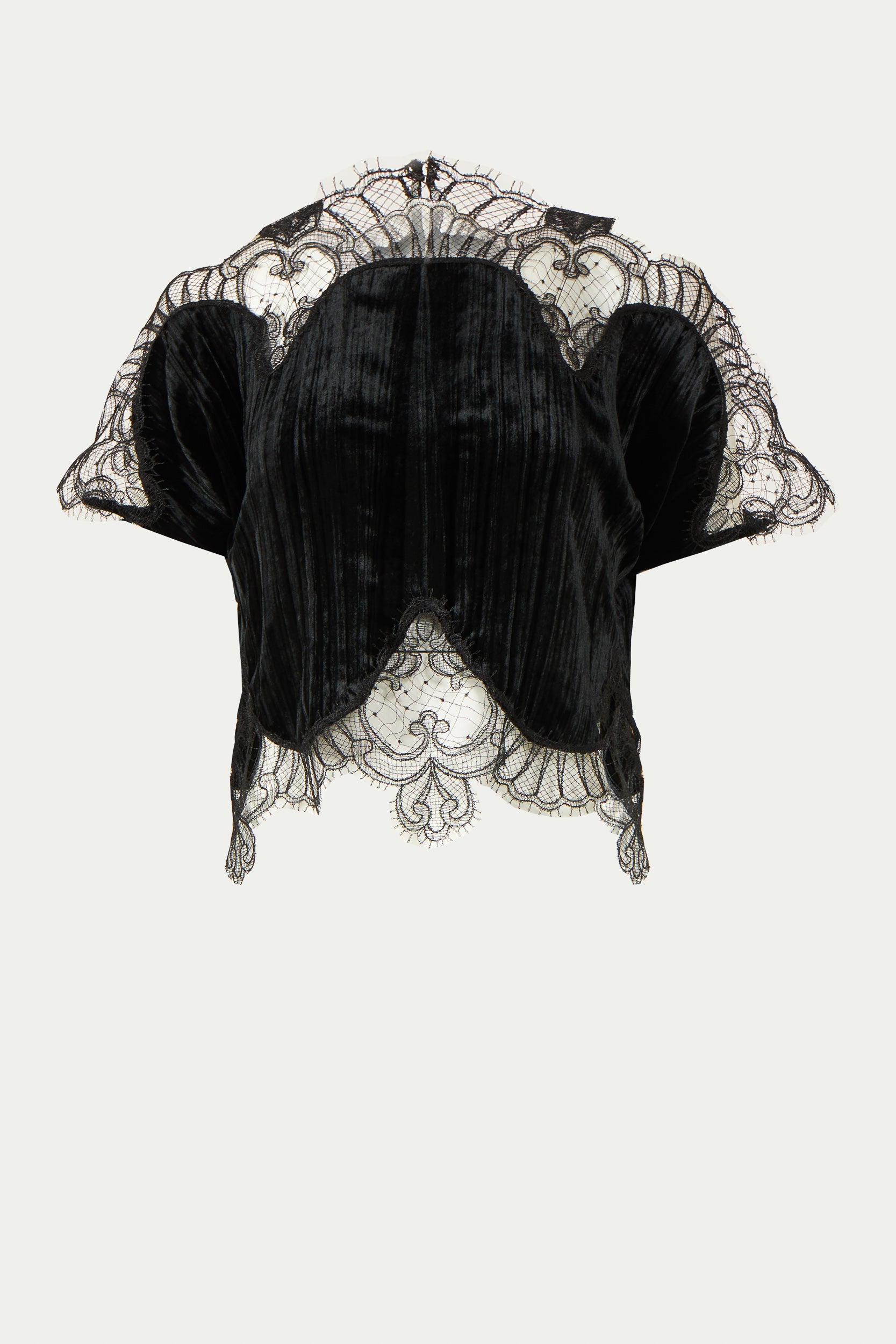 Zaira Plissé Silk Velvet Lace Top