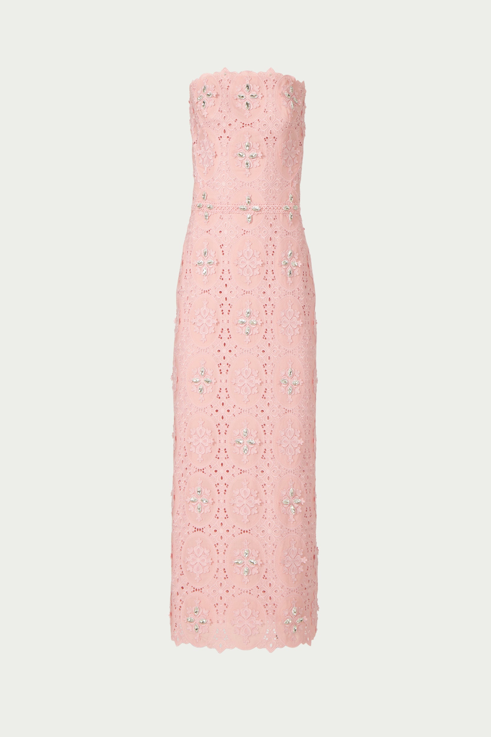 Renelle Embroidered Lace Dress