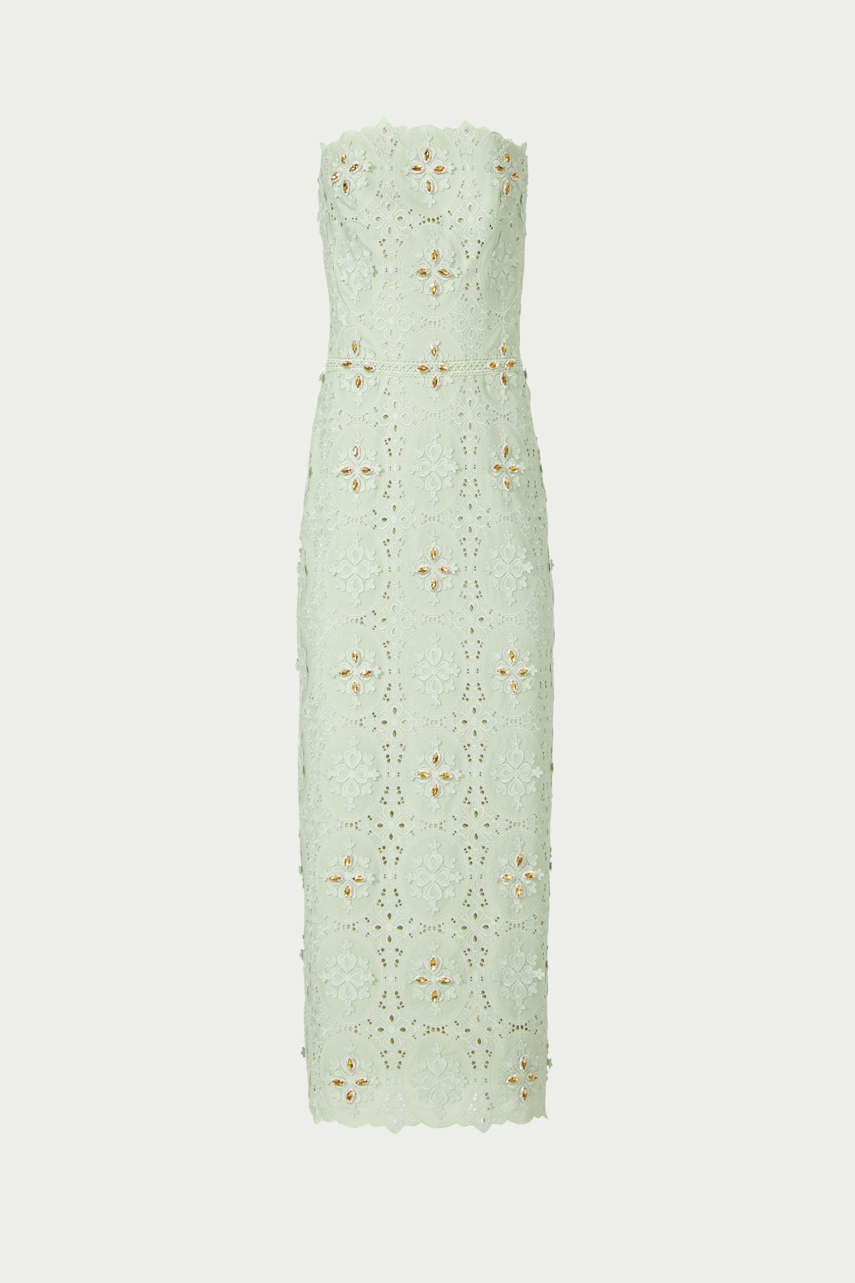 Renelle Embroidered Lace Dress
