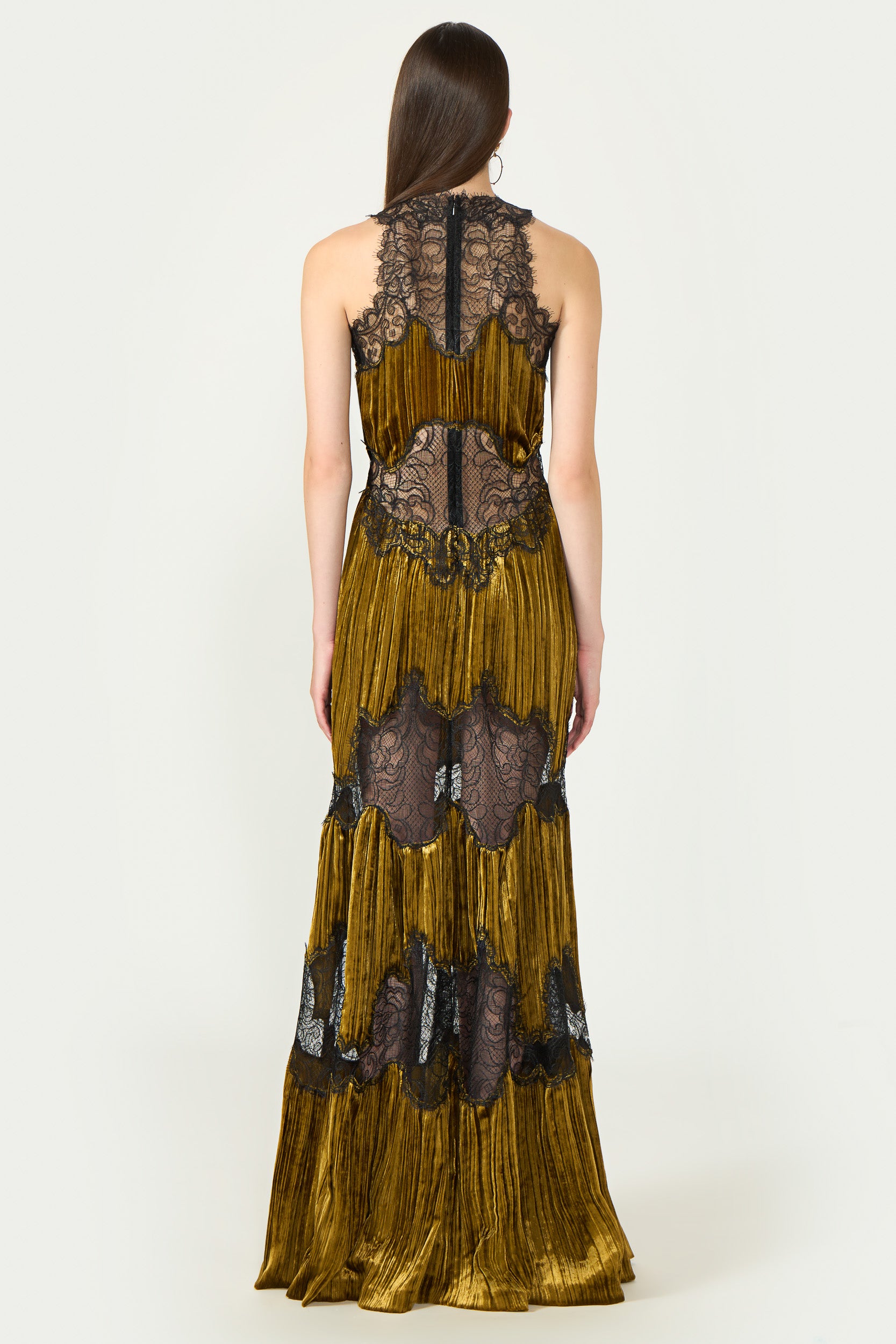 Nassia Plissé Silk Velvet Lace Gown