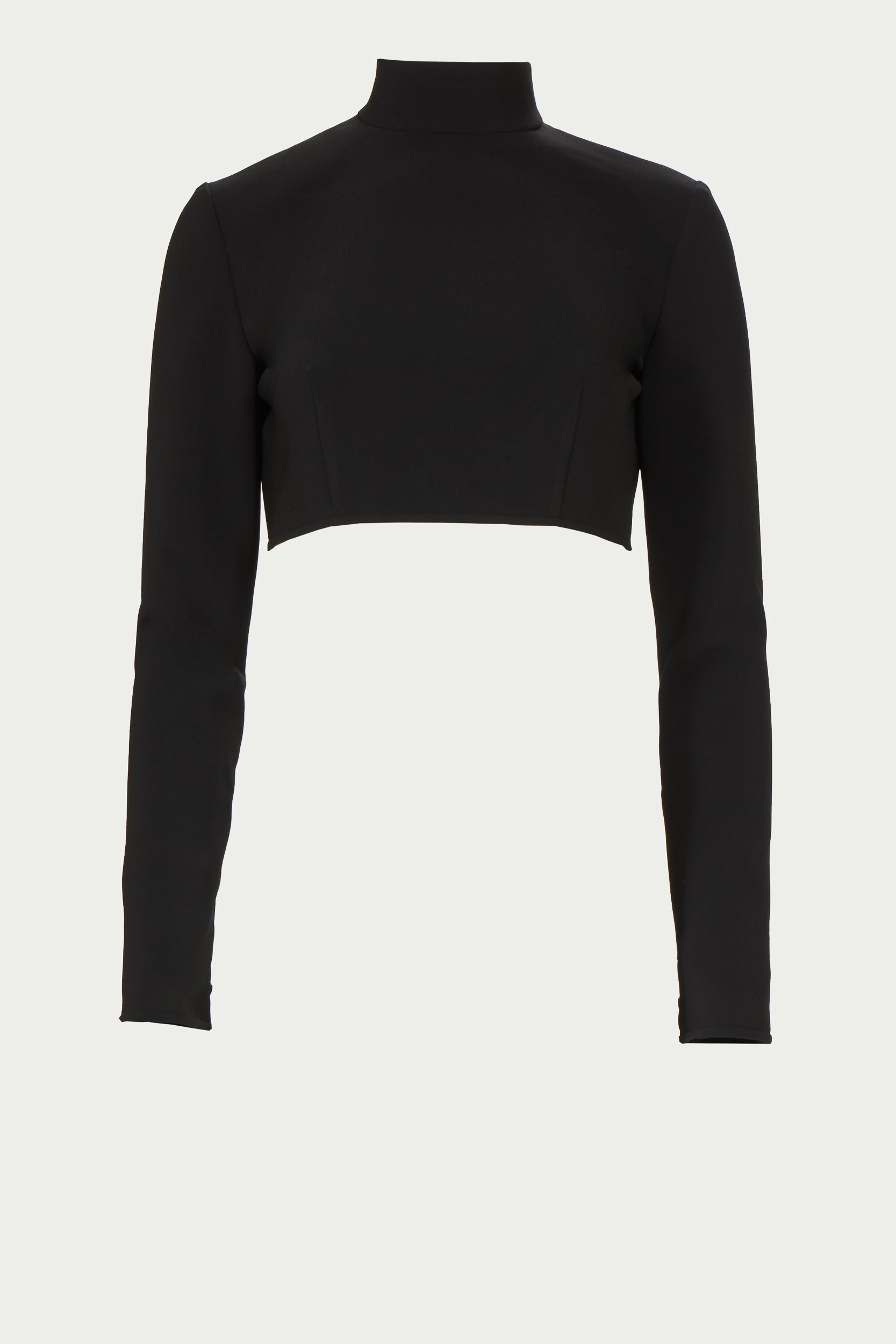 Nelle Crepe Cropped Turtleneck Top