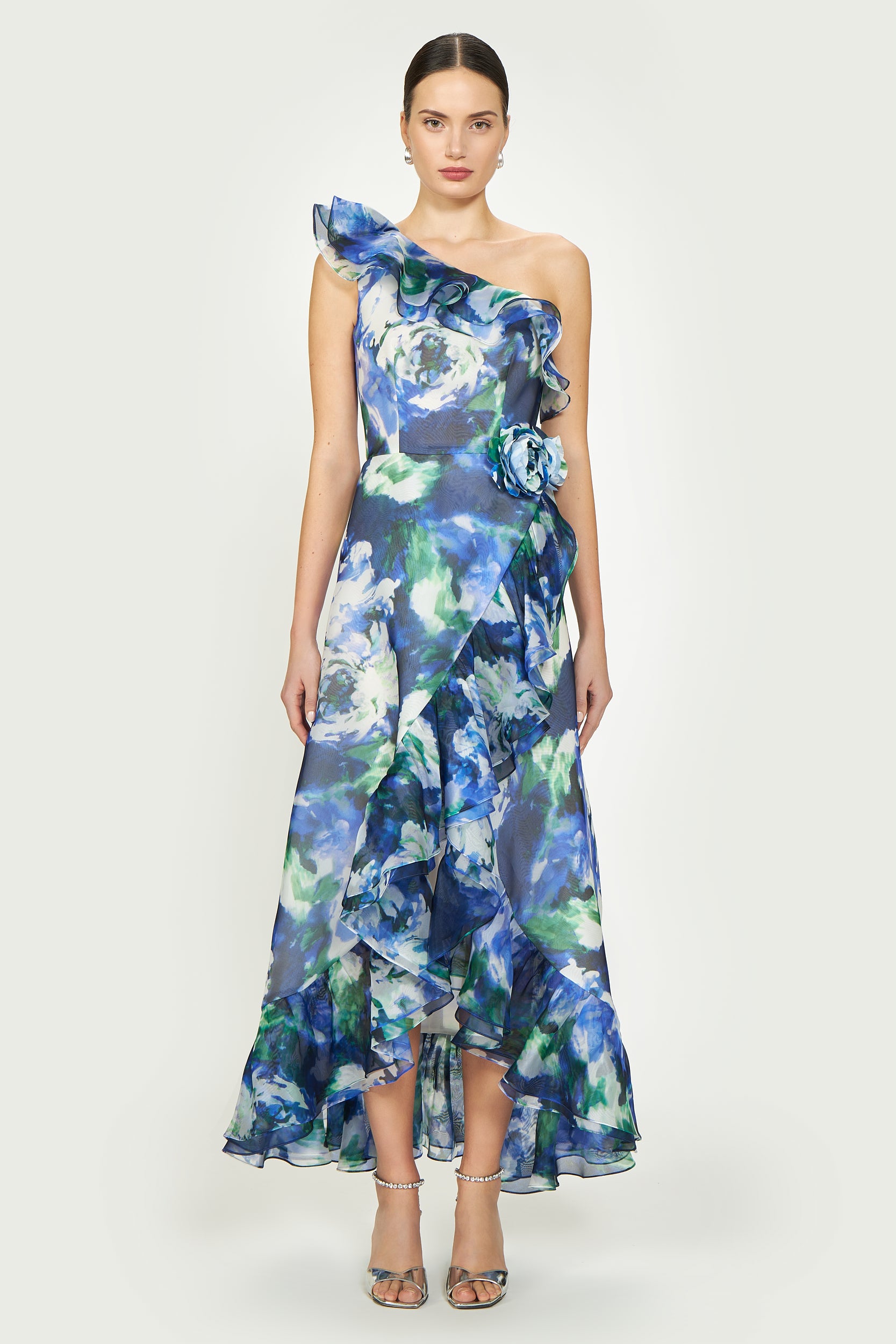 Carmea Silk Organza Dress