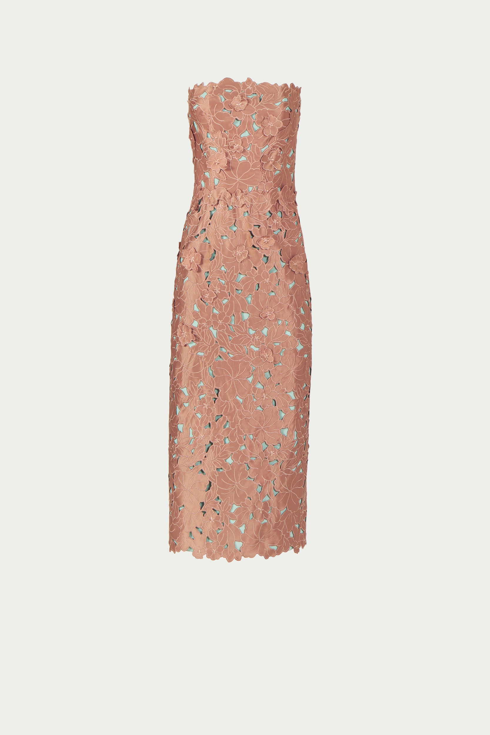 Zira Floral-Cut Lace Strapless Dress