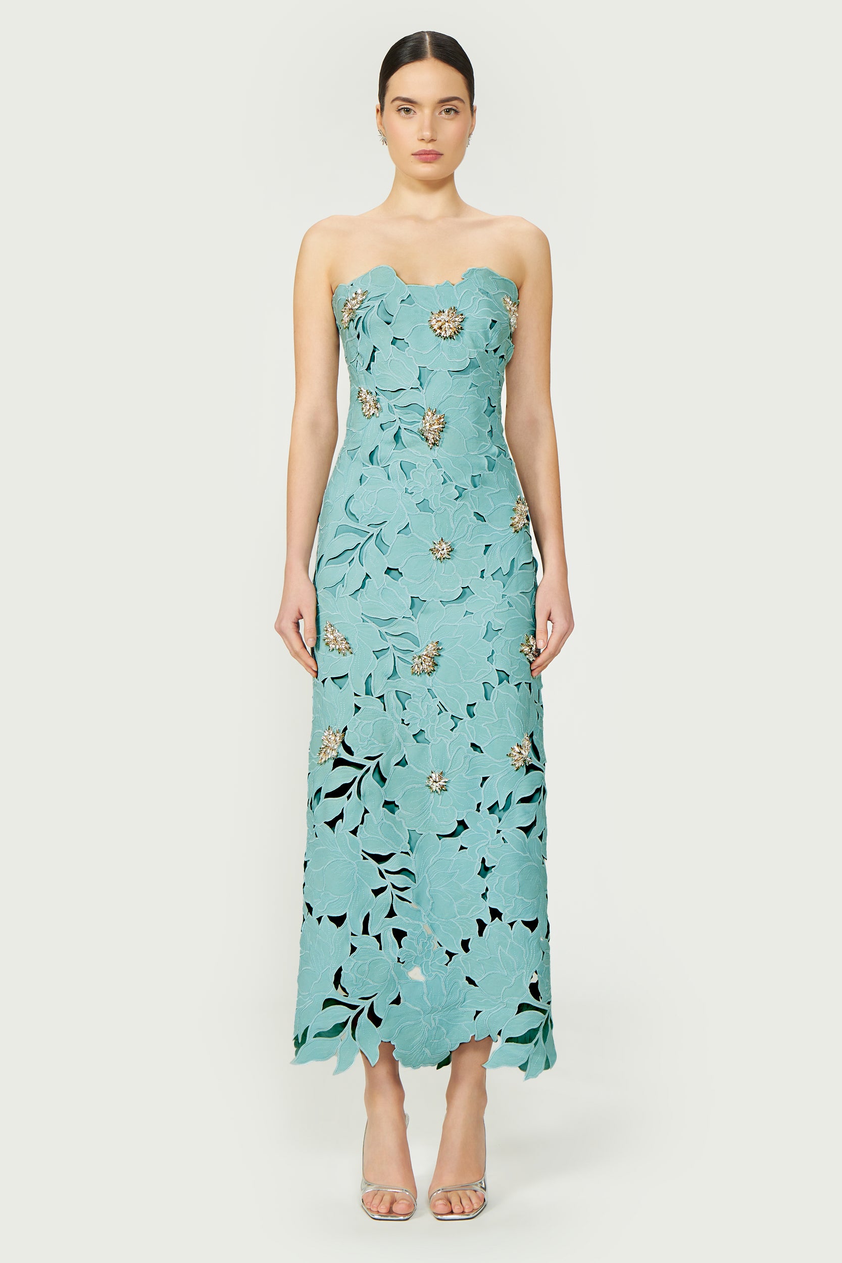 Rivva Floral-Cut Lace Dress