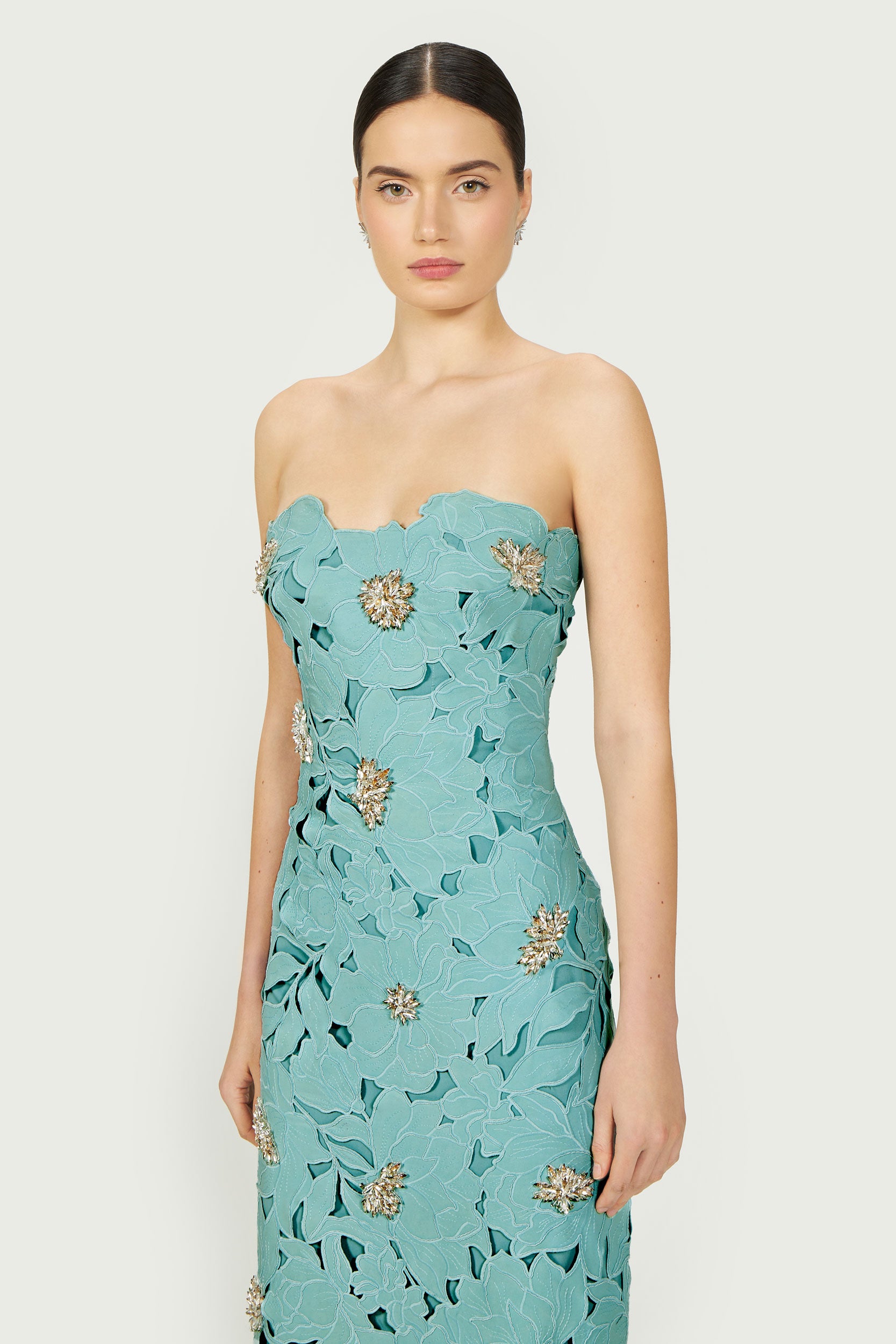 Rivva Floral-Cut Lace Dress