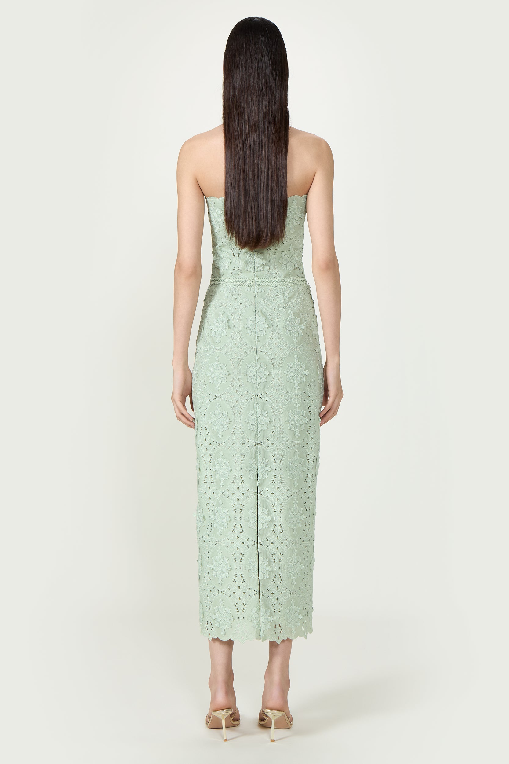 Renelle Embroidered Lace Dress