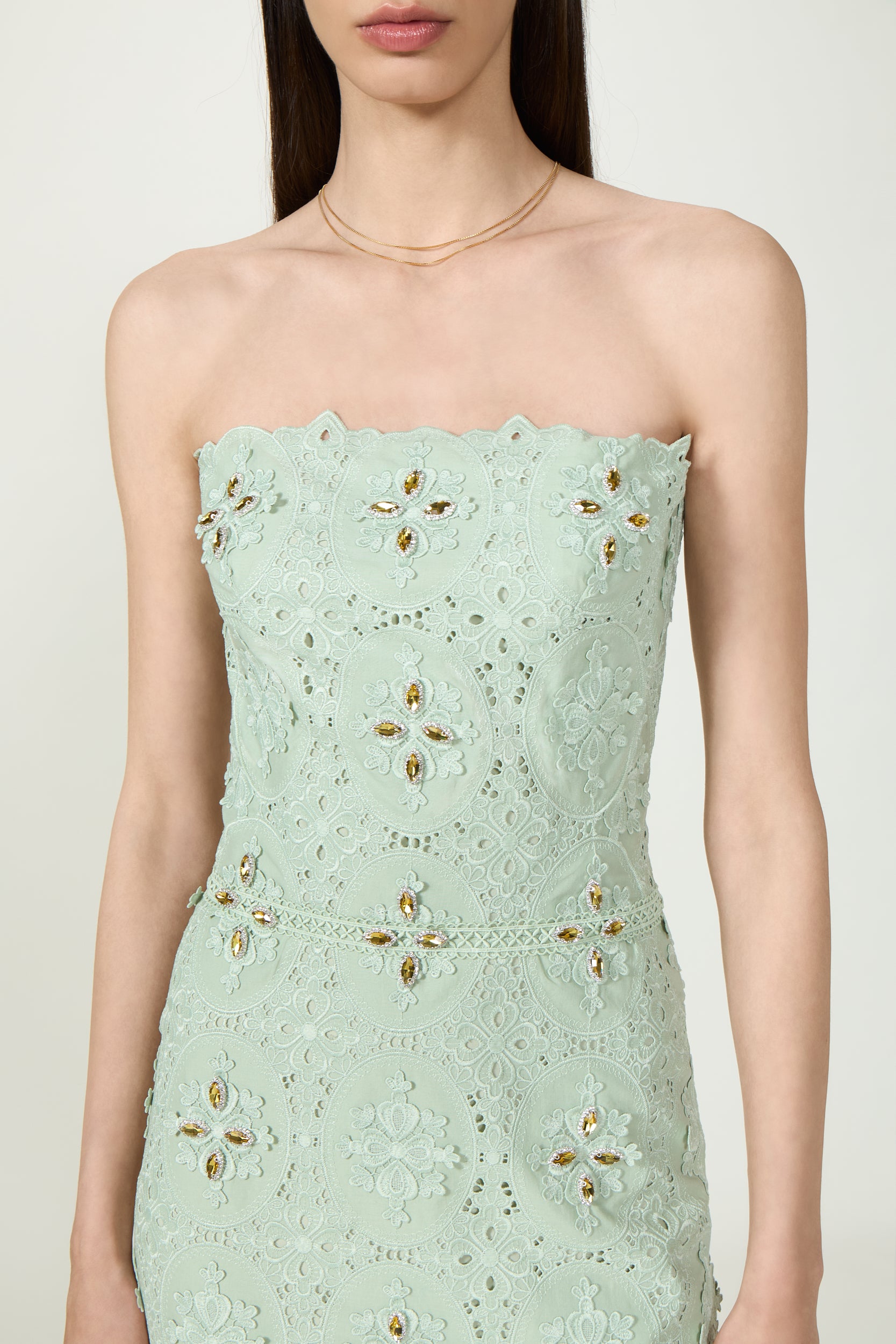 Renelle Embroidered Lace Dress