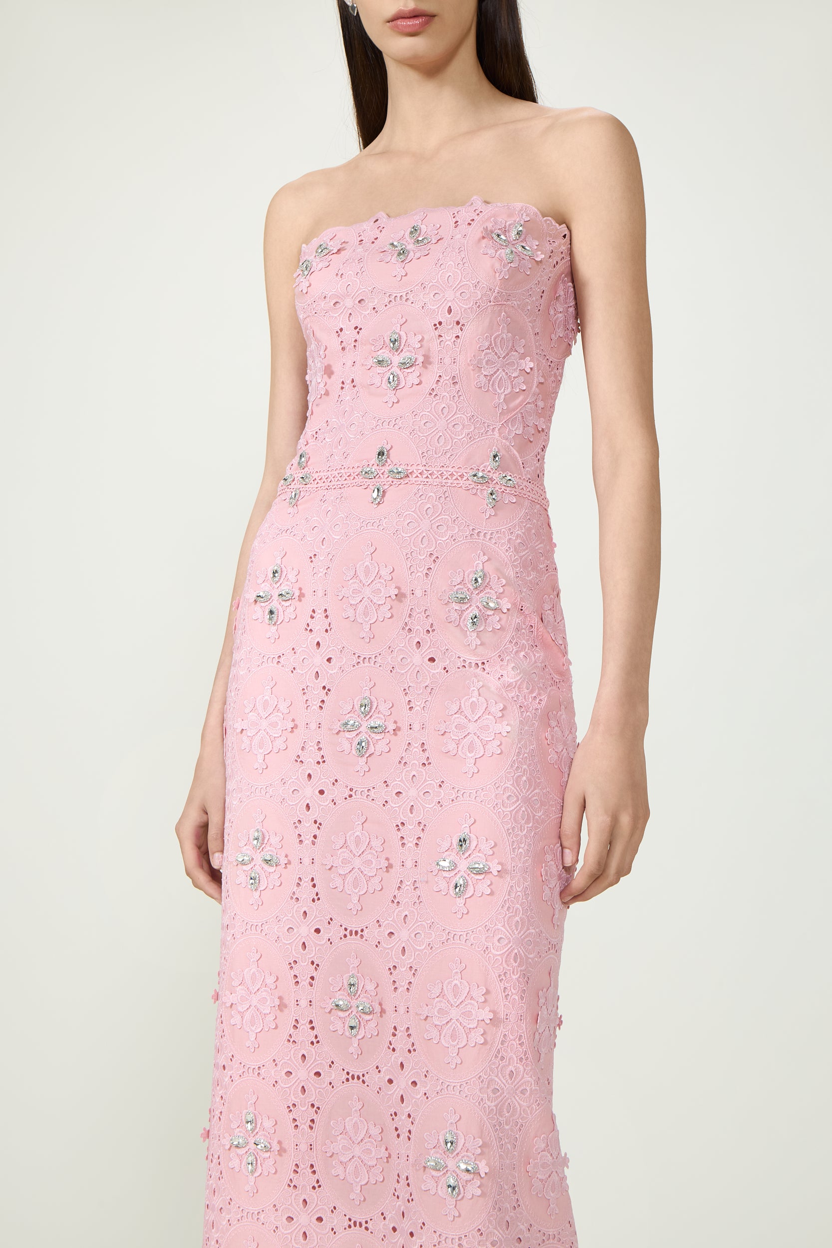 Renelle Embroidered Lace Dress