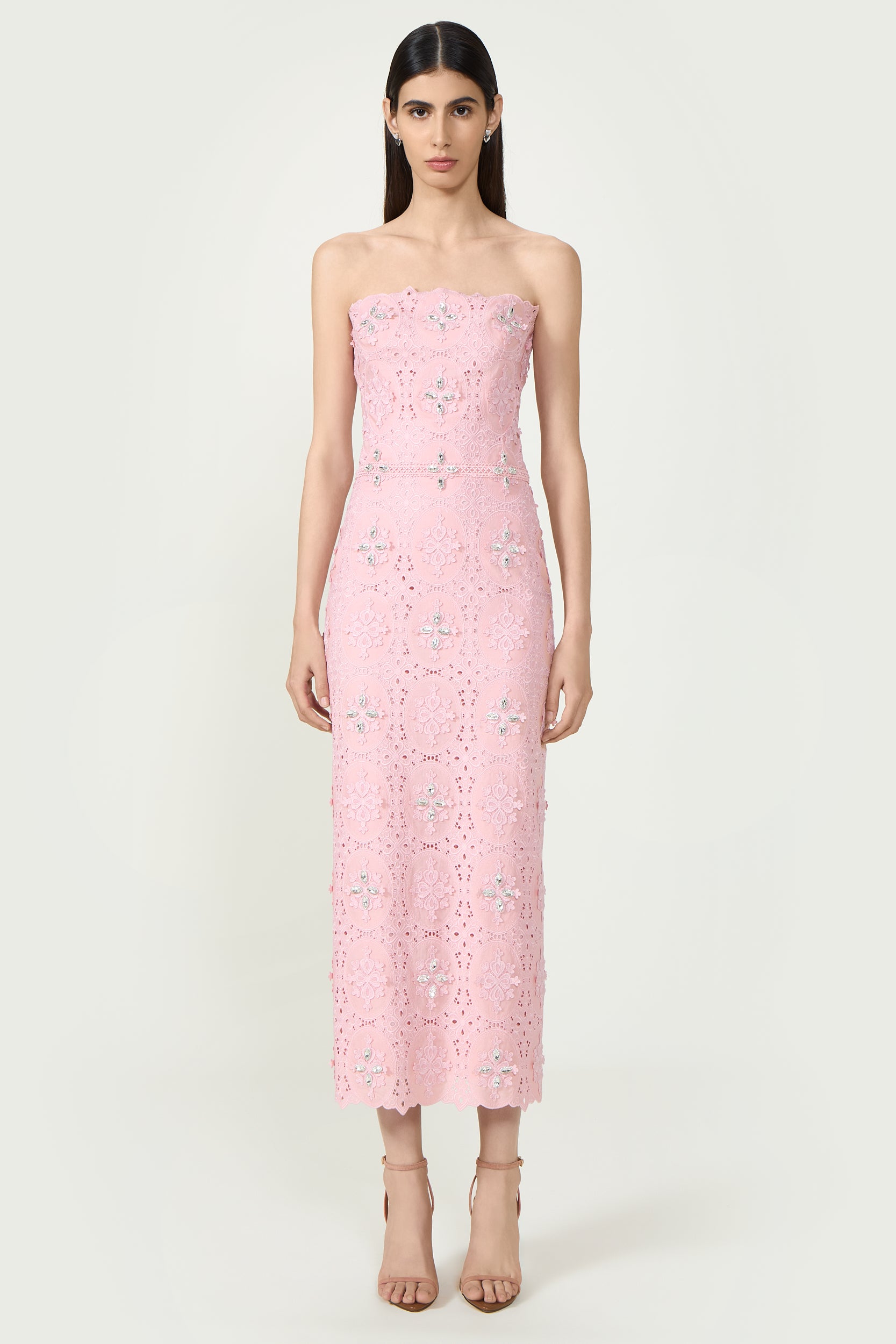 Renelle Embroidered Lace Dress